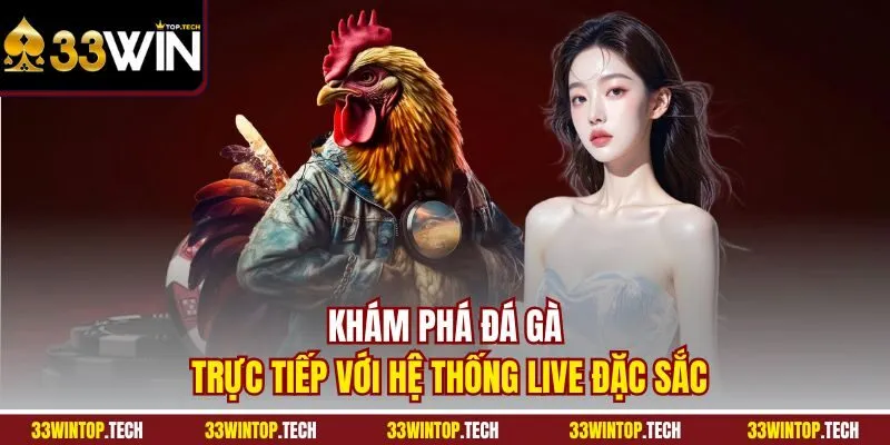 Khám phá đá gà trực tiếp với hệ thống live đặc sắc