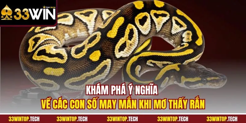 Khám phá ý nghĩa về các con số may mắn khi mơ thấy Rắn