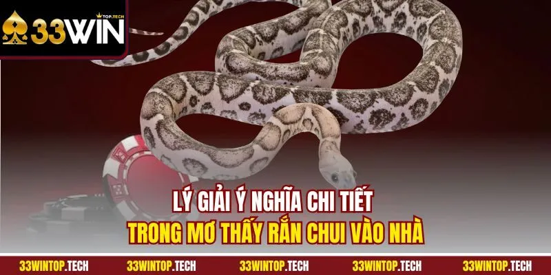 Lý giải ý nghĩa chi tiết trong mơ thấy Rắn chui vào nhà