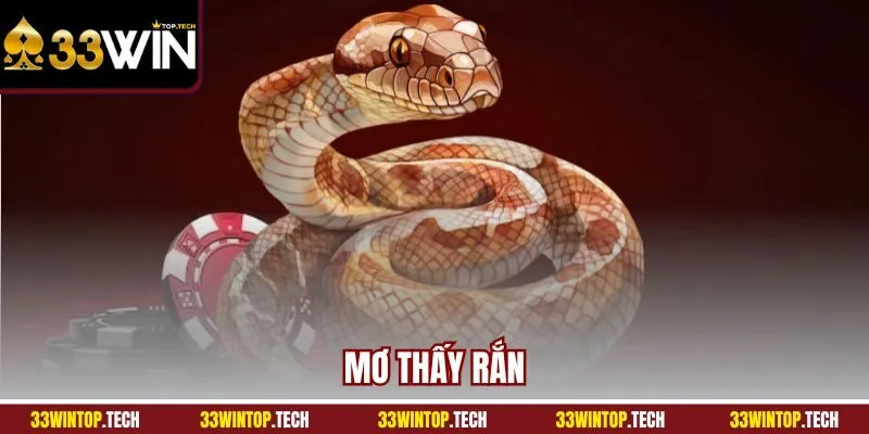 Mơ Thấy Rắn - Lý Giải Chuẩn Ý Nghĩa Trong Từng Bối Cảnh