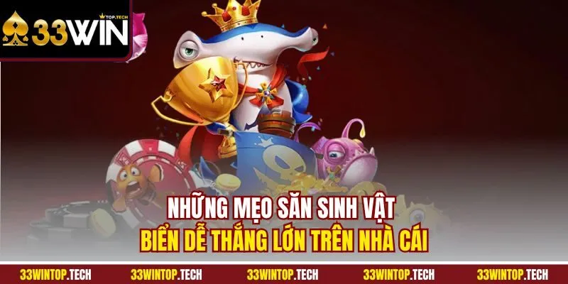 Những mẹo săn sinh vật biển dễ thắng lớn trên nhà cái