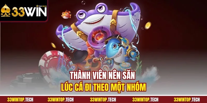 Thành viên nên săn lúc cá đi theo một nhóm